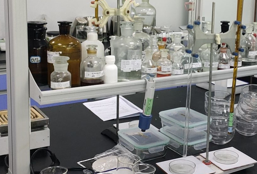 ***新洗衣液的配方哪里有呢? ***新洗衣液的配方哪里有呢?