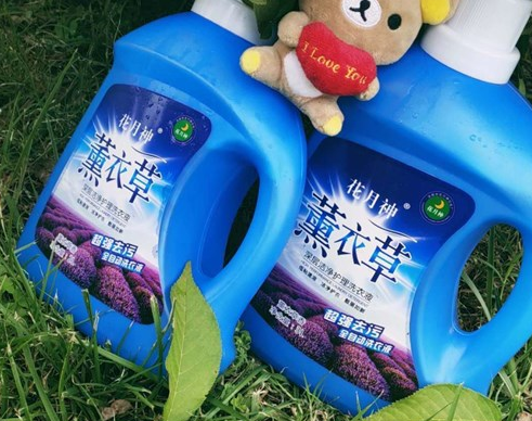 加酶洗衣液中添加的是什么酶? 加酶洗衣液中添加的是什么酶?