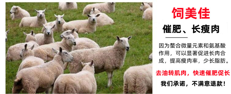 肉羊催肥剂 肉羊催肥剂