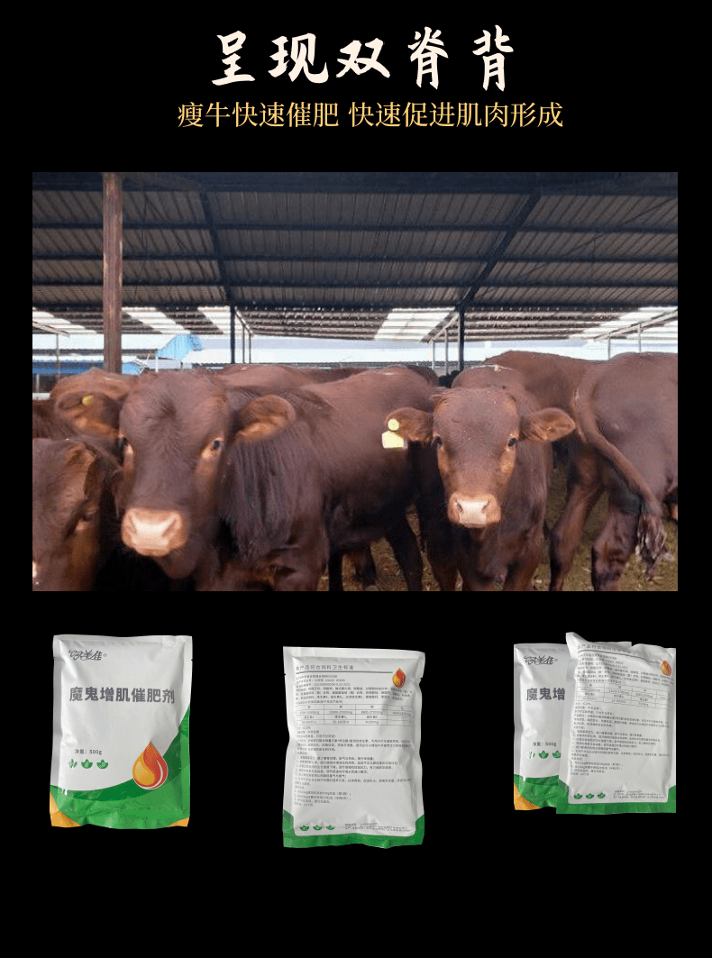 牛羊催肥促长_6@凡科快图.png