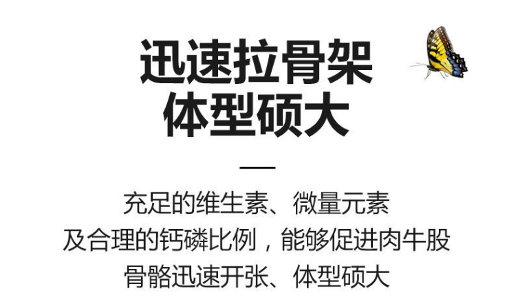 4%肉牛预混料后期催肥 4%肉牛预混料后期催肥
