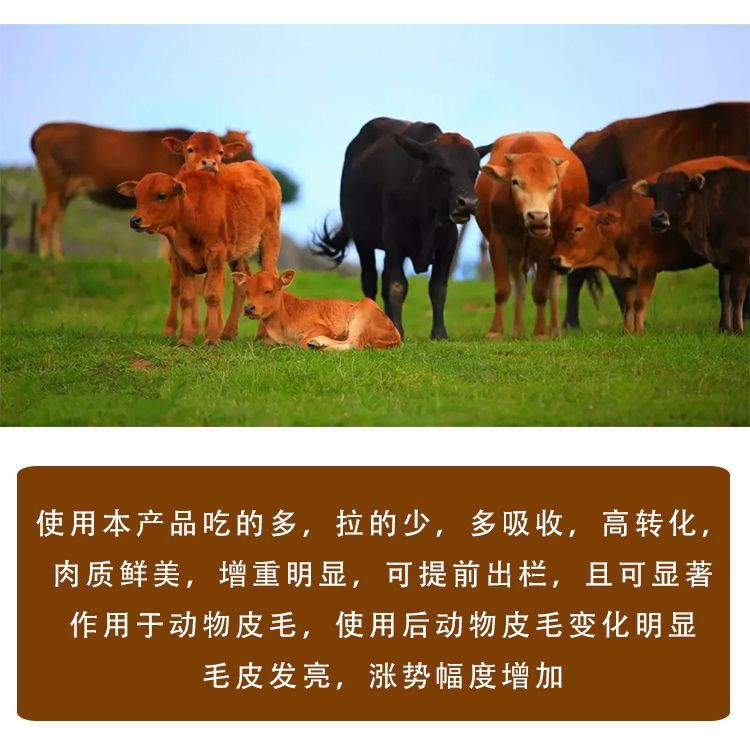 牛快速催肥剂厂家全国包邮 牛快速催肥剂厂家全国包邮