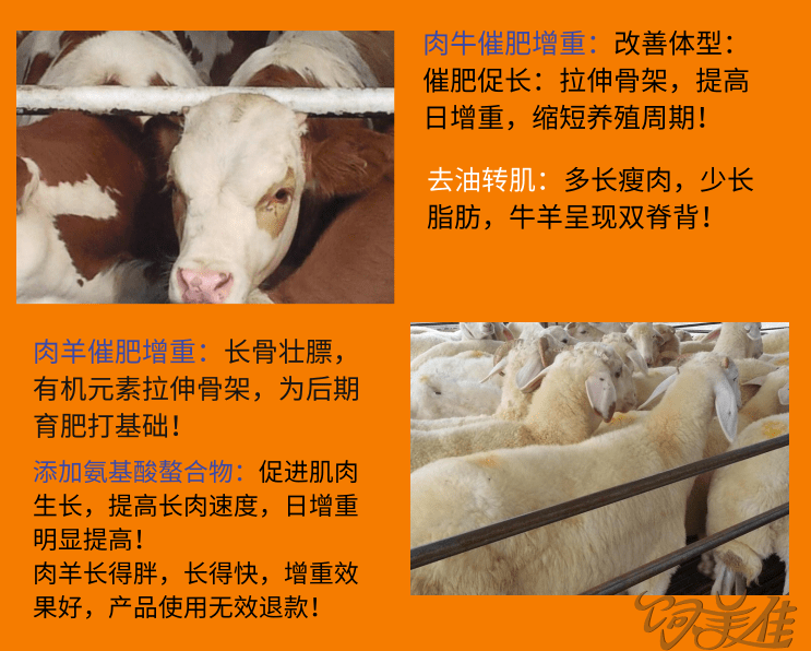 牛增重哪家产品可靠?