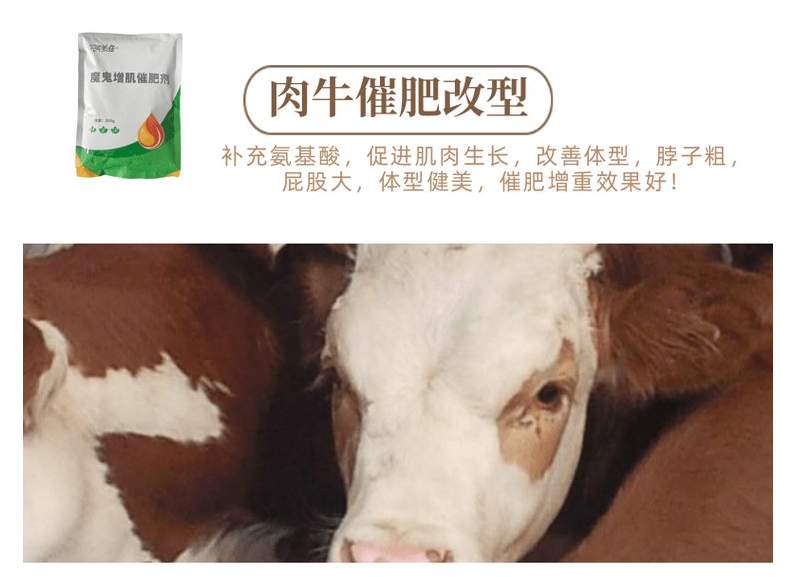 育肥牛去油速型用什么好?