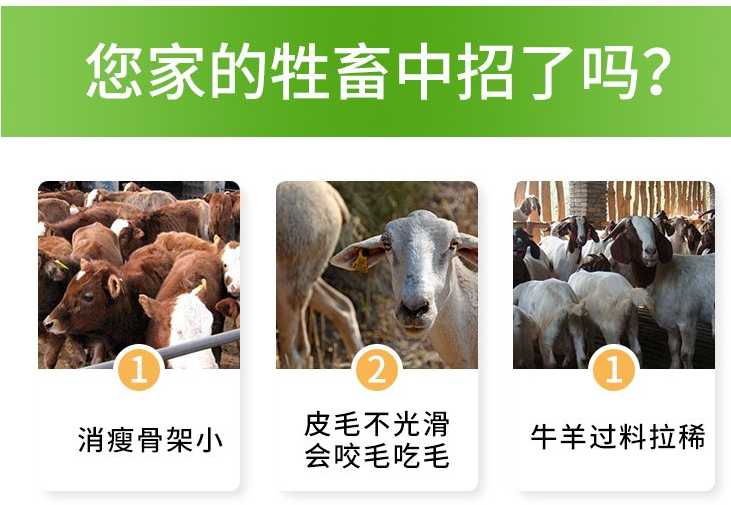 羊用催肥激素药有哪些? 羊用催肥激素药有哪些?