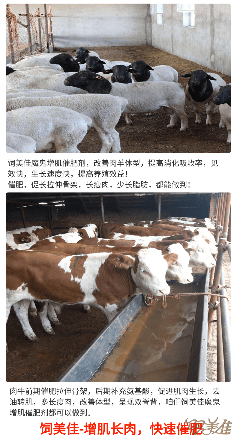 羊用催肥促长添加剂那个牌子好? 羊用催肥促长添加剂那个牌子好?