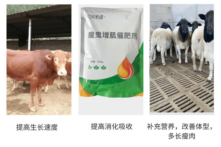 网传的牛羊育肥小料是真的吗? 网传的牛羊育肥小料是真的吗?