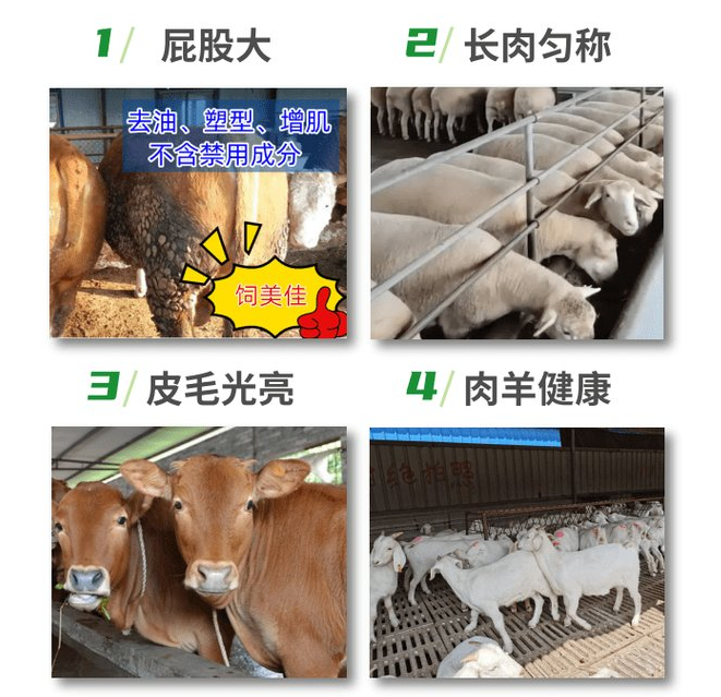 给牛羊猪喂的小料是什么? 给牛羊猪喂的小料是什么?