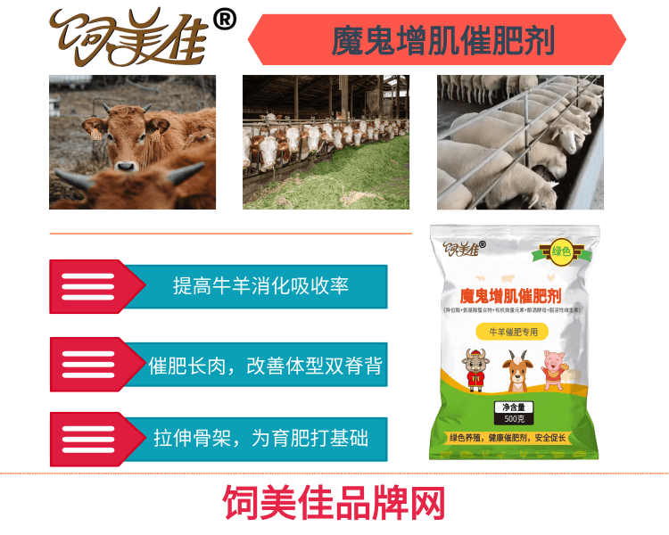 给羊催肥用什么药 给羊催肥用什么药