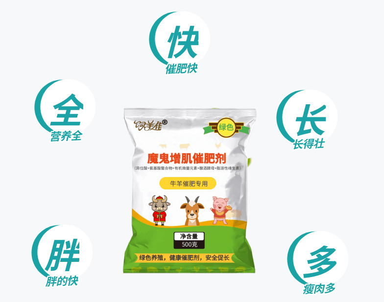 养羊催肥什么饲料好 养羊催肥什么饲料好