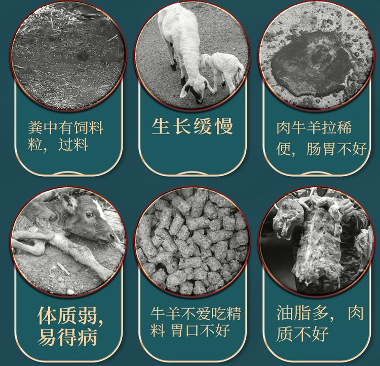 催肥小料怎么样 催肥小料怎么样