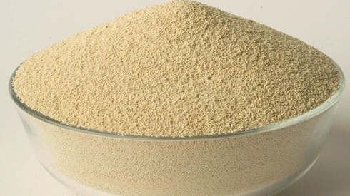 牛饲料添加剂有哪些 牛饲料添加剂有哪些