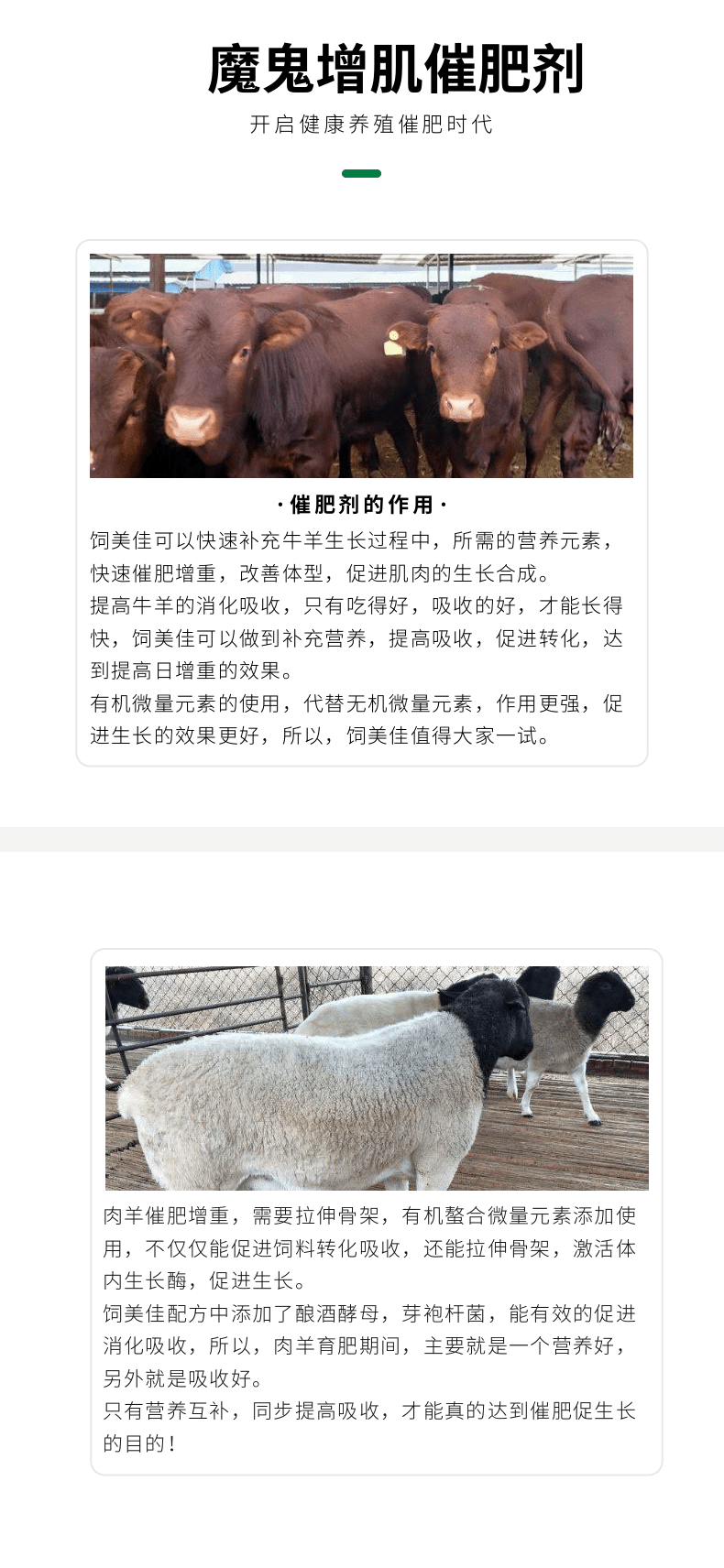 羊催肥增重剂 长骨壮镖催肥 厂家直发 羊催肥增重剂 长骨壮镖催肥 厂家直发