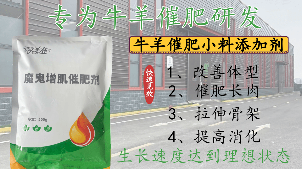 育肥羊催肥用什么药 育肥羊催肥用什么药