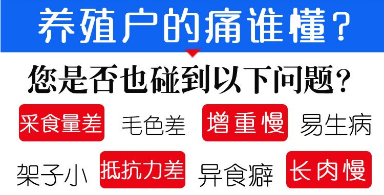 羊催肥用什么添加剂的好一点 羊催肥用什么添加剂的好一点