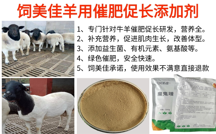 肉牛后期催肥添加剂有哪些 肉牛后期催肥添加剂有哪些